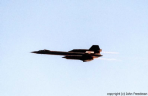 61-7956 jfreedman-SR-71B Flypast